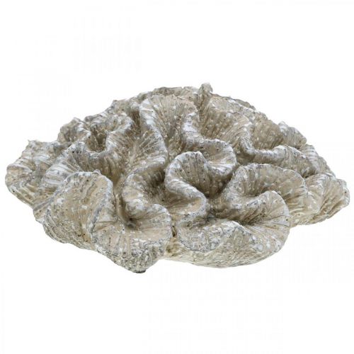 Article Décoration maritime corail beige blanc polyrésine artificielle 23x20cm