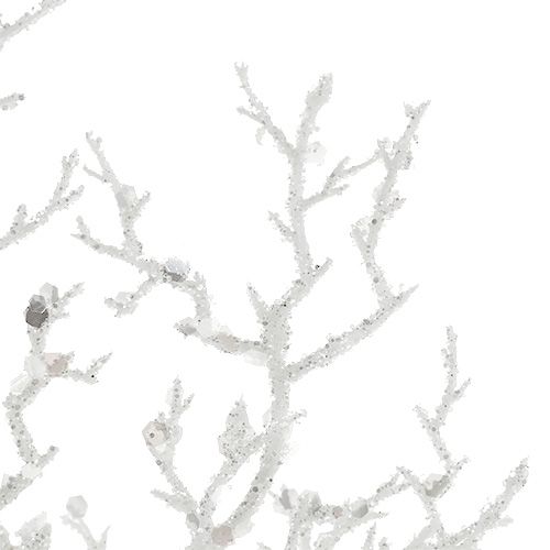 Floristik24 Branche de corail avec mica blanc L32cm 3pcs