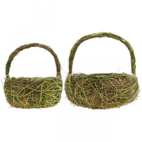 Floristik24 Panier à plantes avec anses raphia et foin panier vert printemps 16×22/21×27cm lot de 2