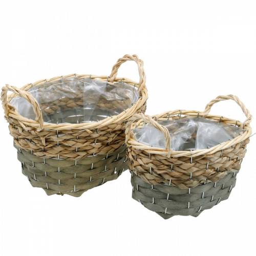 Floristik24 Panier panier végétal ovale tressé nature, gris 29/24cm lot de 2