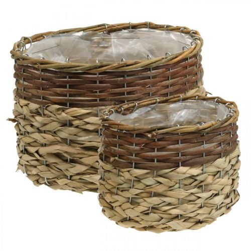 Floristik24 Panier en Osier Bol à Plantes en Osier Naturel Naturel L30/22cm H20/17cm Lot de 2