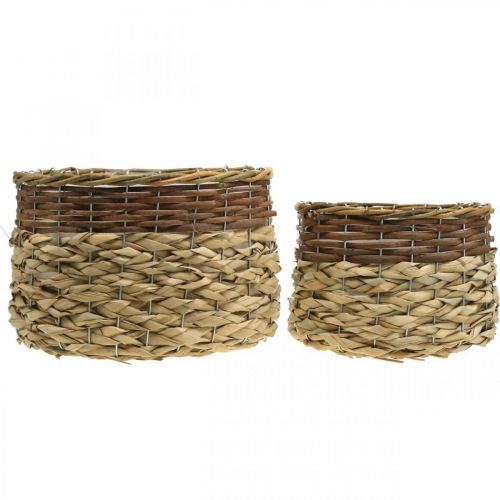 Article Panier en Osier Bol à Plantes en Osier Naturel Naturel L30/22cm H20/17cm Lot de 2