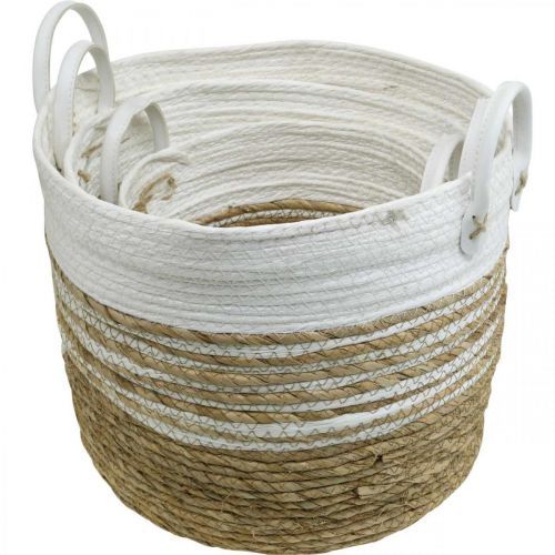 Floristik24 Panier à planter, ustensile avec poignées, organiseur blanc, naturel Ø32/28/23cm H30/25/19cm lot de 3