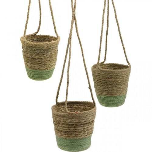 Article Panier suspendu, corbeille naturelle, jardinière à suspendre naturel, vert Ø19/17/15cm lot de 3