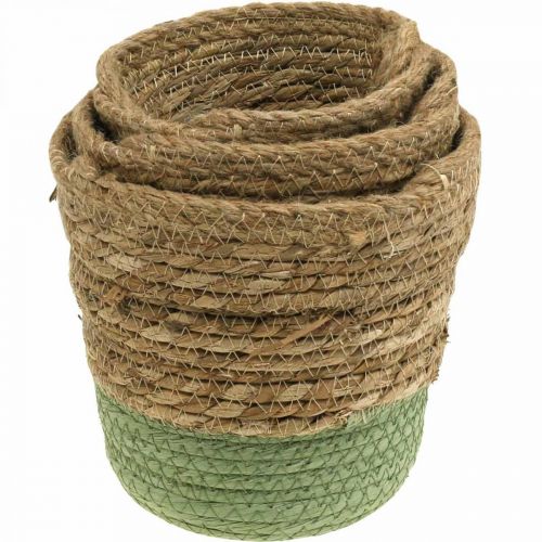 Article Panier suspendu, corbeille naturelle, jardinière à suspendre naturel, vert Ø19/17/15cm lot de 3