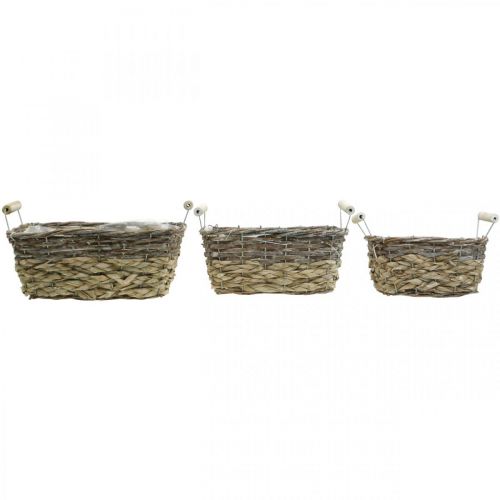 Article Panier à plantes avec anses, bol panier carré, jardinière naturelle pour planter shabby chic blanc lavé L30/25,5/21 cm H12/11/10 cm lot de 3