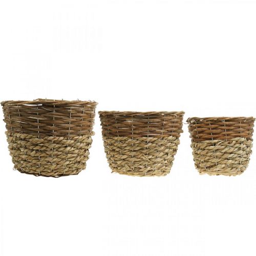 Article Panier à fleurs à planter, jardinière, panier en osier nature Ø27/25/20cm H20/18/17cm lot de 3