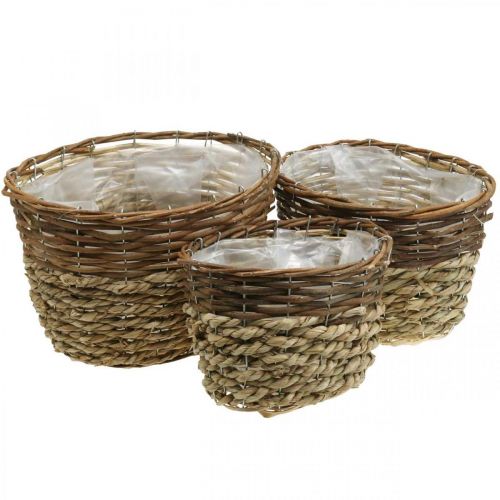 Floristik24 Panier naturel à planter, corbeille déco, coupelles à plantes naturel L21/19/16cm H21/19/16cm lot de 3