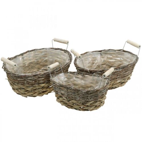 Panier naturel à planter, panier avec anses, jardinière shabby chic blanc lavé L31/27.5/24cm H12/11.5/10cm lot de 3