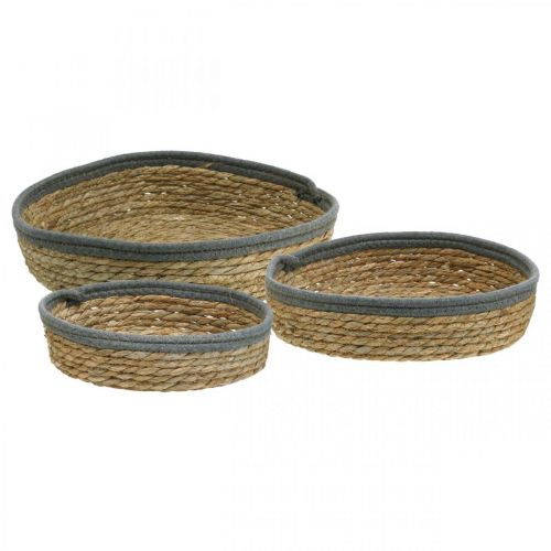 Panier plateau rond, coupe plante naturelle, plateau déco tressé nature Ø33/30/25cm H8/7cm lot de 3