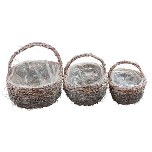 Floristik24 Panier avec anse panier à plantes blanchi à la chaux 40/34/27cm lot de 3