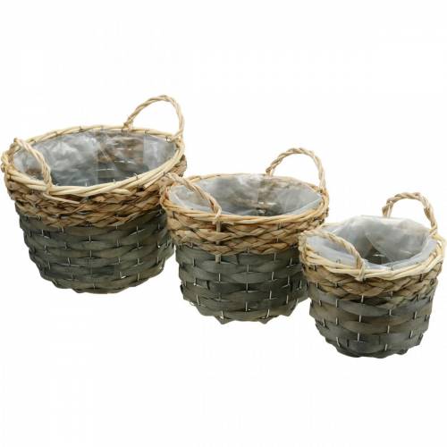 Floristik24 Panier à plantes, panier en osier pour plantation, panier à fleurs rond naturel, gris Ø29/23,5/18cm lot de 3