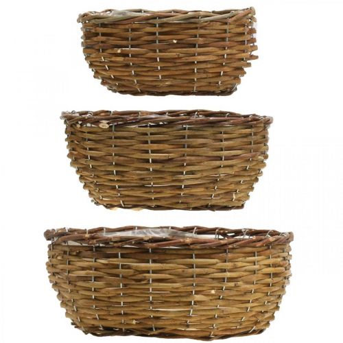 Floristik24 Panier bol panier plante naturelle panier osier Ø21.5/26/Ø31cm lot de 3