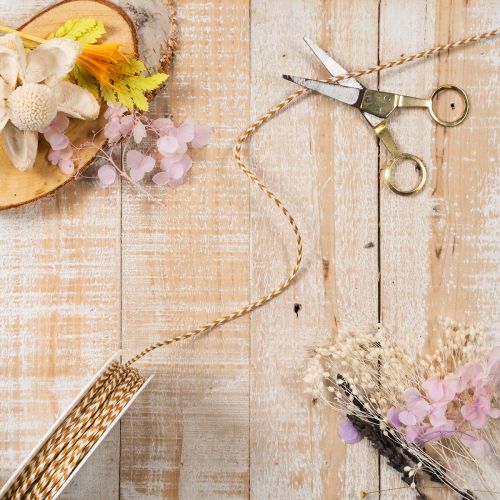Ruban cadeau, cordon bicolore, 3 mm, 20 m | Floristik24.be