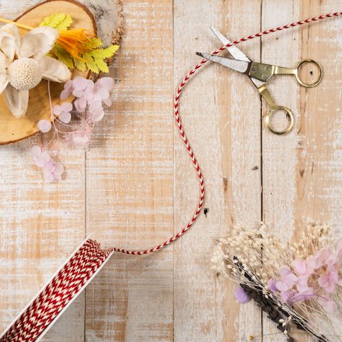 Cordon à motif zigzag en rouleau pour loisirs créatifs et emballage, diamètre 3 mm, longueur 20 m | Floristik24.be