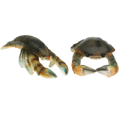 Floristik24 Crabe et homard déco 11cm - 15cm