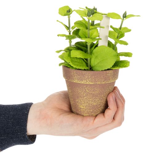 Article Pots à herbes artificielles assorties pour cuisine, jardin, balcon ou terrasse, 15cm, lot de 3