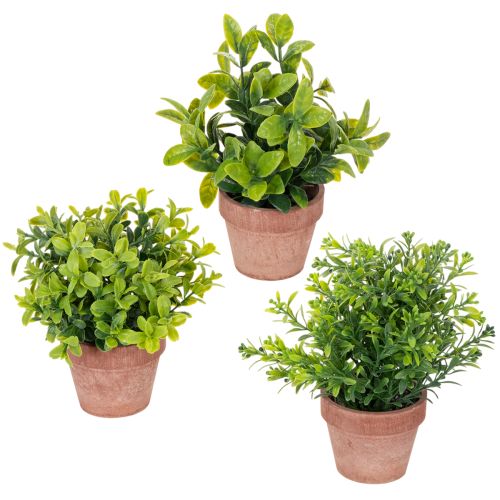 Floristik24 Plante artificielle en pot, texture réaliste, pour la décoration intérieure, 18 cm, lot de 3.