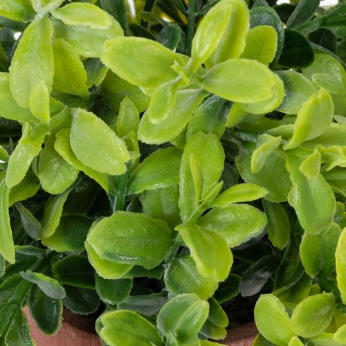 Article Plante artificielle en pot, texture réaliste, pour la décoration intérieure, 18 cm, lot de 3.