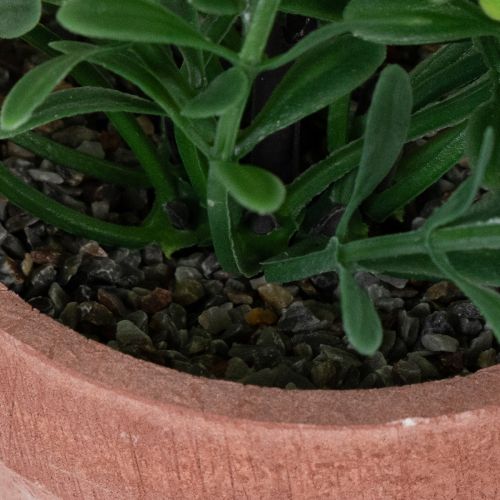 Article Plante artificielle en pot, texture réaliste, pour la décoration intérieure, 18 cm, lot de 3.