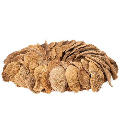 Couronne de champignons arboricoles, couleur naturelle, pour décoration de porte ou de mur, 37 cm | Floristik24.be