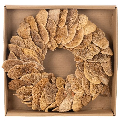 Couronne de champignons arboricoles, couleur naturelle, pour décoration de porte ou de mur, 37 cm | Floristik24.be