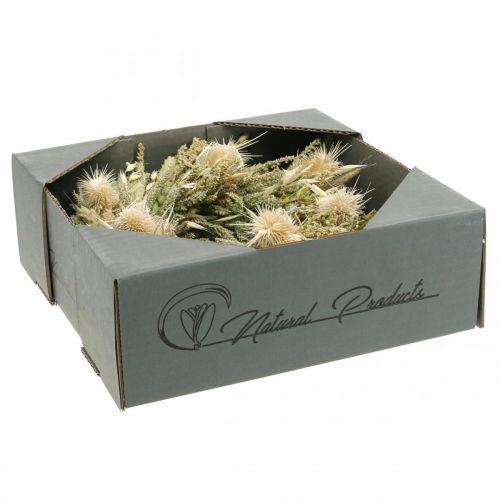 Floristik24 Carte couronne de fleurs séchées grain d&#39;herbe de chardon Ø28cm
