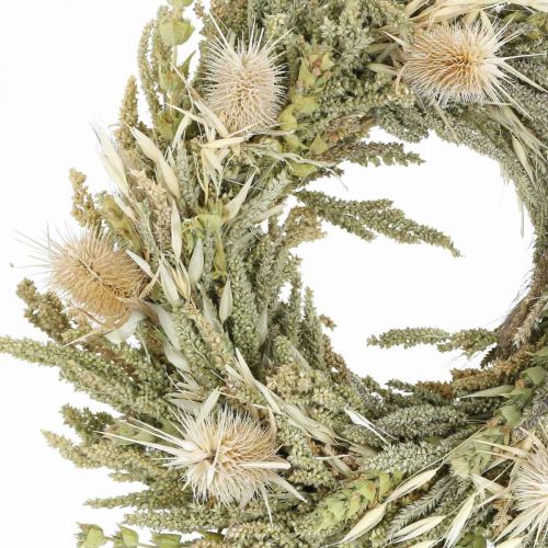 Floristik24 Carte couronne de fleurs séchées grain d&#39;herbe de chardon Ø28cm