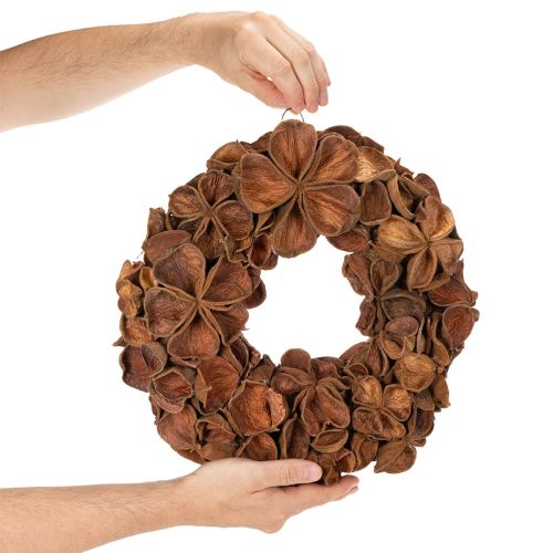 Couronne de lotus séché, couronne décorative de porte, 35 cm | Floristik24.be
