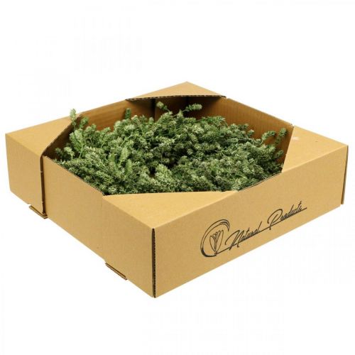 Article Couronne de Noël couronne de fleurs séchées vertes herbe de lin Ø34cm