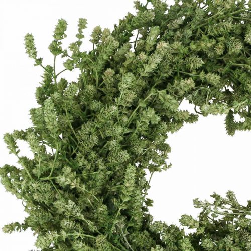 Article Couronne de Noël couronne de fleurs séchées vertes herbe de lin Ø34cm