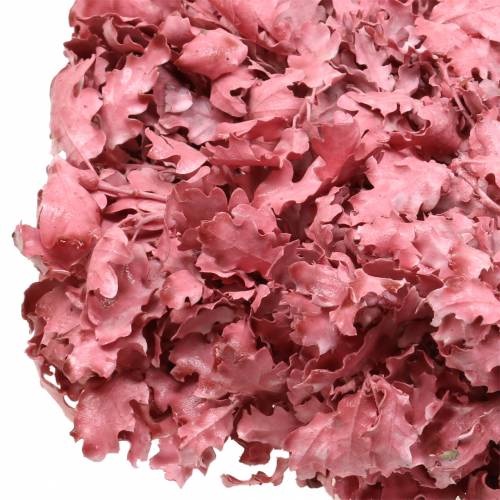 Floristik24 Couronne de feuilles de chêne rose ciré Ø38cm