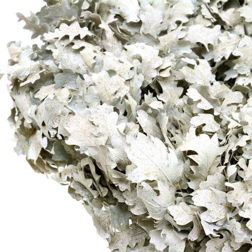 Floristik24 Couronne de feuilles de chêne lavé blanc Ø38cm