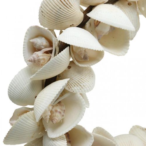 Article Couronne maritime, décoration marine, couronne décorative coquillages et coquilles d&#39;escargots naturel Ø26,5cm