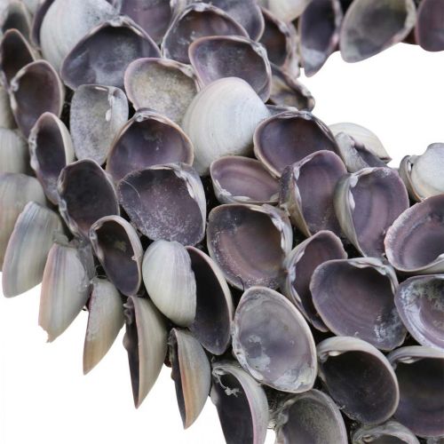Floristik24 Couronne de coquillages, coquillages naturels chippy violet, anneau en coquillages Ø25cm