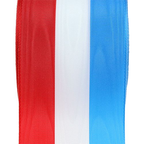 Article Ruban guirlande moiré bleu-blanc-rouge 75mm