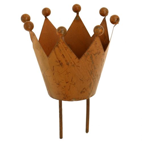 Floristik24 Lanterne couronne à brancher grille Ø4cm H7cm