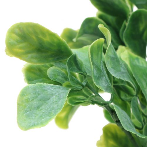 Floristik24 Basilic en botte artificiel vert 36cm 6pcs