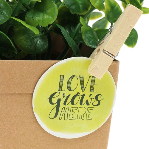 Floristik24 Herbes en pot de papier 3pcs