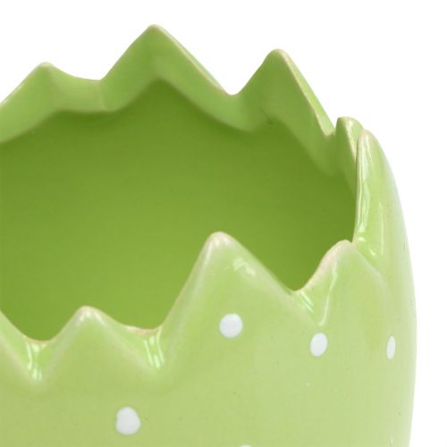 Floristik24 Pot de fleurs coquille d’œuf Ø 8 cm H. 8,5 cm 8 p.