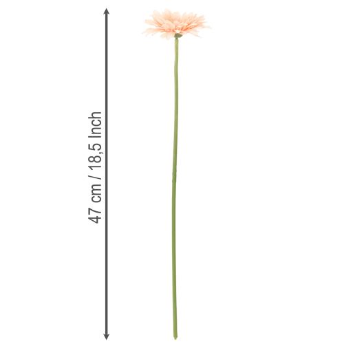 Gerberas artificiels abricot 47 cm, lot de 6 | Floristik24.be