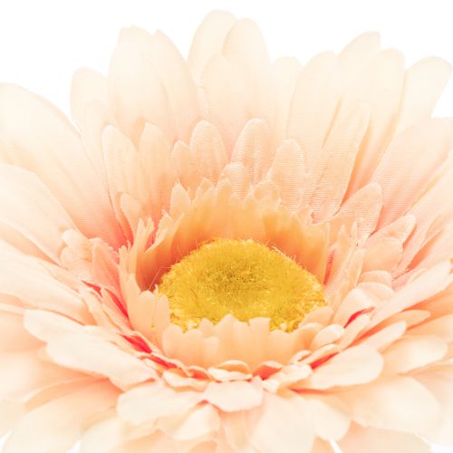 Gerberas artificiels abricot 47 cm, lot de 6 | Floristik24.be