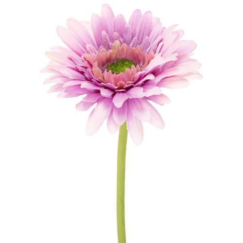 Gerberas artificiels pour jardin, violets, 47 cm, lot de 6 acheter | Floristik24.be