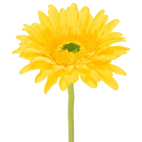 Gerberas artificiels, jaune soleil, fleurs de jardin, 47 cm, lot de 6 acheter | Floristik24.be