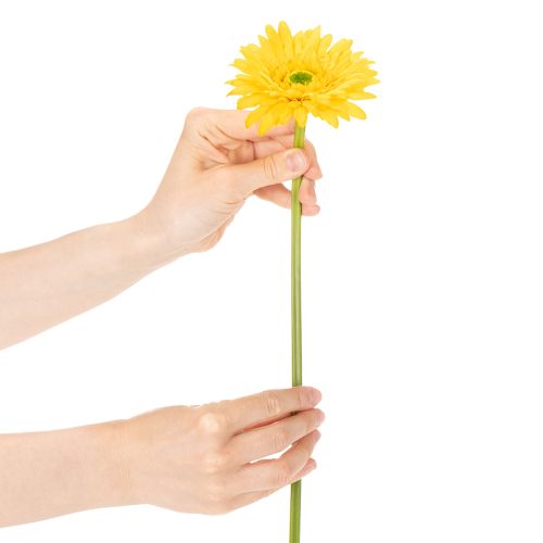 Gerberas artificiels, jaune soleil, fleurs de jardin, 47 cm, lot de 6 | Floristik24.be