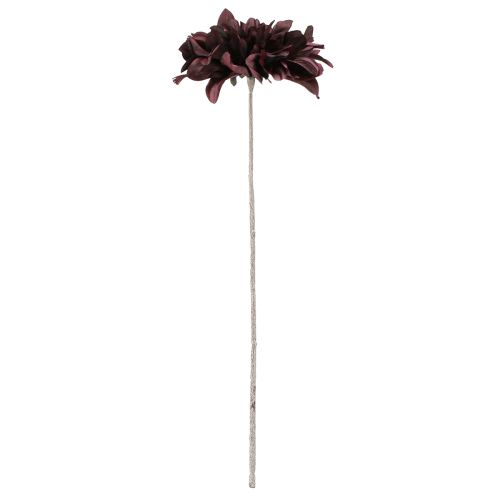 Article Dahlia artificiel à grandes fleurs bordeaux L58cm