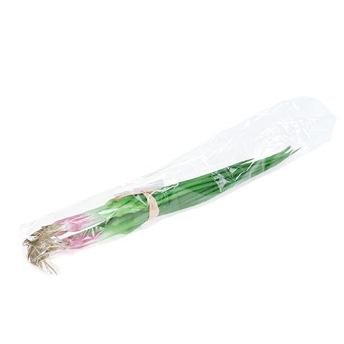 Floristik24 Oignons de printemps artificiels 30cm 4pcs