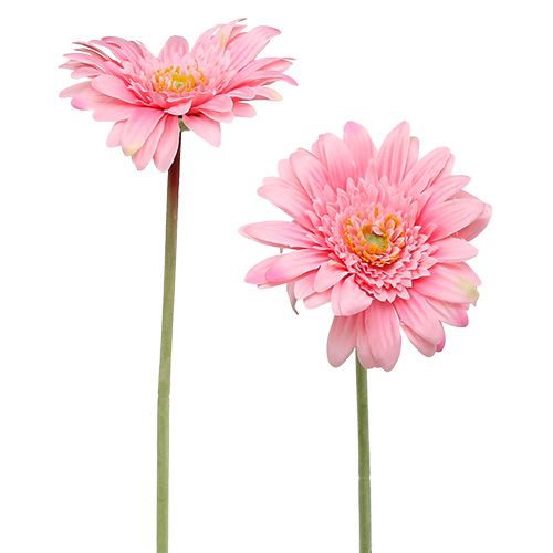 Floristik24 Gerbera rose artificiel Ø10cm L53cm 6pcs