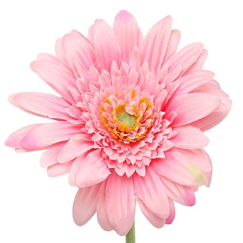 Floristik24 Gerbera rose artificiel Ø10cm L53cm 6pcs