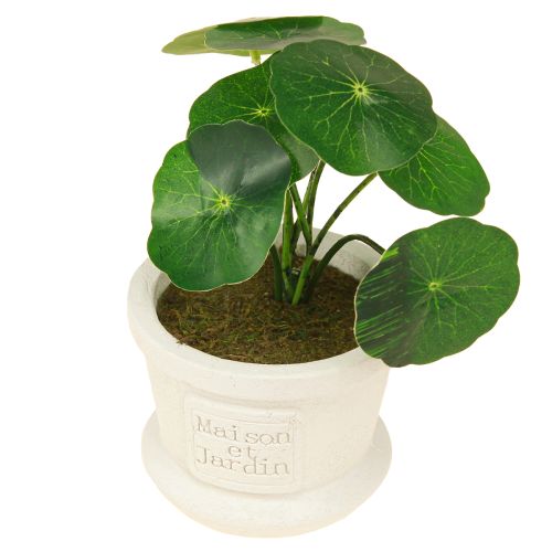 Article Plantes vertes artificielles mini plantes en pot 15cm 3pcs